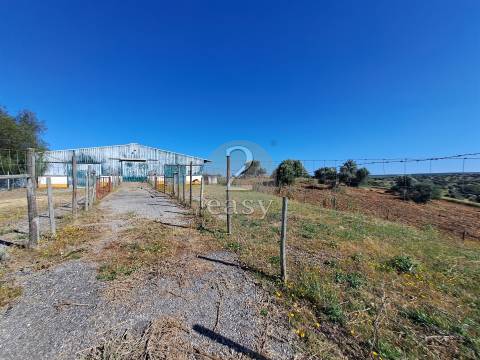 Propriedade Agrícola ideal para ovinos/caprinos em Selmes com Casa T1