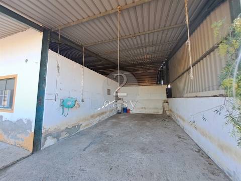 Propriedade Agrícola ideal para ovinos/caprinos em Selmes com Casa T1