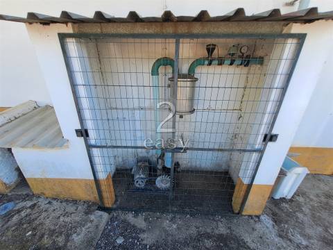 Propriedade Agrícola ideal para ovinos/caprinos em Selmes com Casa T1