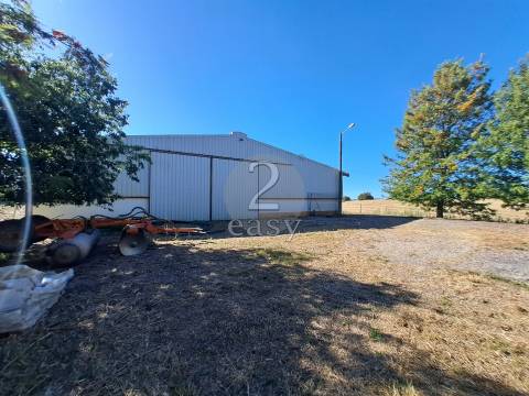 Propriedade Agrícola ideal para ovinos/caprinos em Selmes com Casa T1