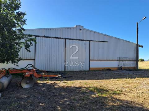 Propriedade Agrícola ideal para ovinos/caprinos em Selmes com Casa T1