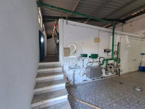 Propriedade Agrícola ideal para ovinos/caprinos em Selmes com Casa T1