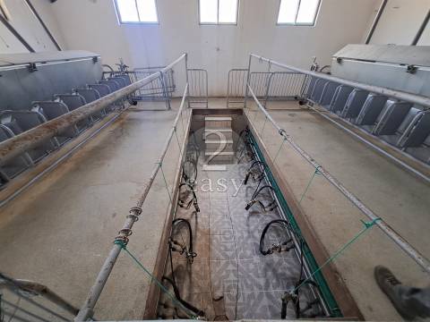 Propriedade Agrícola ideal para ovinos/caprinos em Selmes com Casa T1