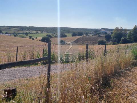 Propriedade Agrícola ideal para ovinos/caprinos em Selmes com Casa T1