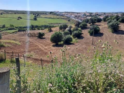 HERDADE COM SALA DE ORDENHA OVINOS ou CAPRINOS E ARMAZÉNS EM SELMES e T1