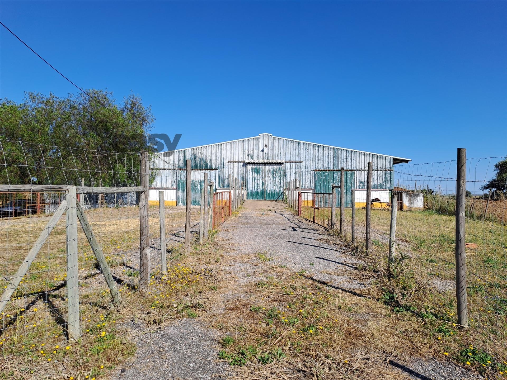 HERDADE COM SALA DE ORDENHA OVINOS ou CAPRINOS E ARMAZÉNS EM SELMES e T1