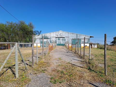 HERDADE COM SALA DE ORDENHA OVINOS ou CAPRINOS E ARMAZÉNS EM SELMES e T1
