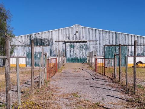 HERDADE COM SALA DE ORDENHA OVINOS ou CAPRINOS E ARMAZÉNS EM SELMES e T1