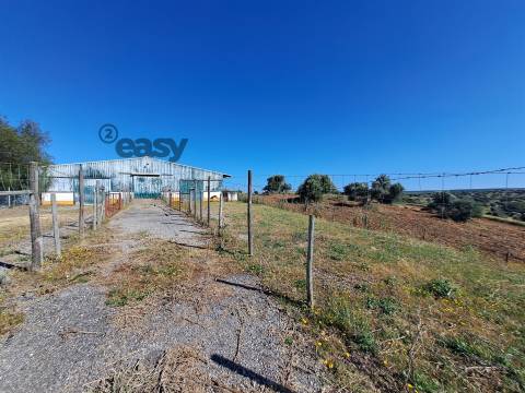 HERDADE COM SALA DE ORDENHA OVINOS ou CAPRINOS E ARMAZÉNS EM SELMES e T1