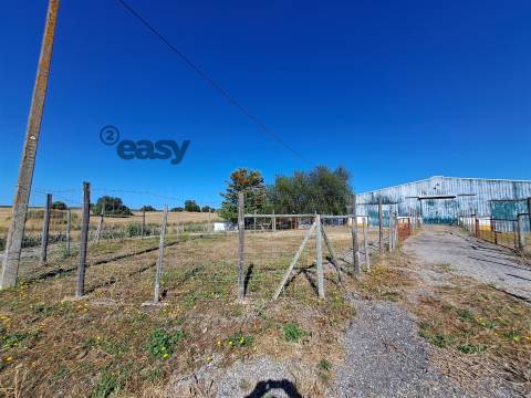 HERDADE COM SALA DE ORDENHA OVINOS ou CAPRINOS E ARMAZÉNS EM SELMES e T1