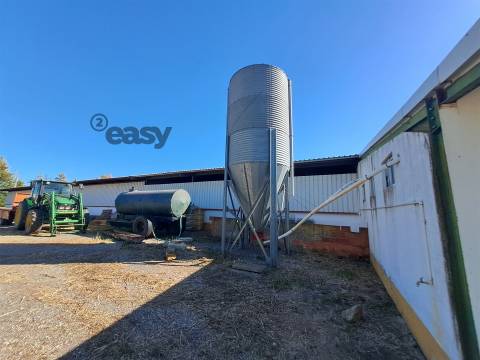 HERDADE COM SALA DE ORDENHA OVINOS ou CAPRINOS E ARMAZÉNS EM SELMES e T1