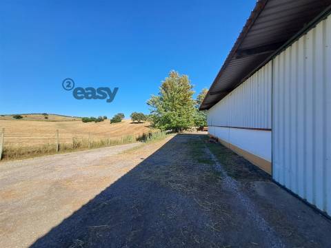 HERDADE COM SALA DE ORDENHA OVINOS ou CAPRINOS E ARMAZÉNS EM SELMES e T1