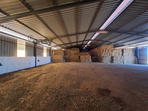 HERDADE COM SALA DE ORDENHA OVINOS ou CAPRINOS E ARMAZÉNS EM SELMES e T1