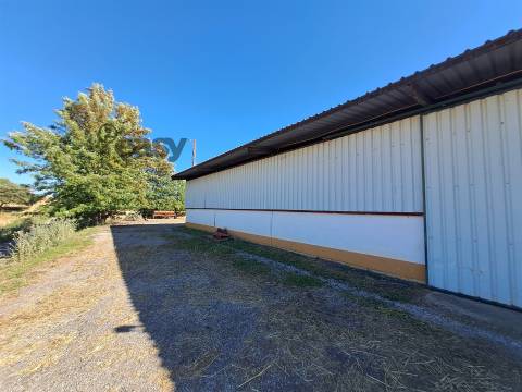 HERDADE COM SALA DE ORDENHA OVINOS ou CAPRINOS E ARMAZÉNS EM SELMES e T1