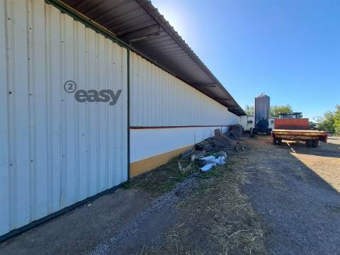 HERDADE COM SALA DE ORDENHA OVINOS ou CAPRINOS E ARMAZÉNS EM SELMES e T1