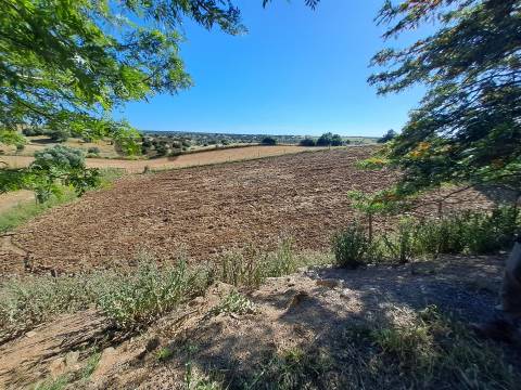HERDADE COM SALA DE ORDENHA OVINOS ou CAPRINOS E ARMAZÉNS EM SELMES e T1