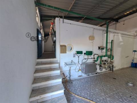 HERDADE COM SALA DE ORDENHA OVINOS ou CAPRINOS E ARMAZÉNS EM SELMES e T1