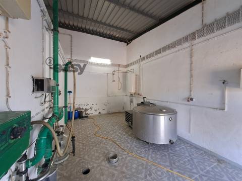 HERDADE COM SALA DE ORDENHA OVINOS ou CAPRINOS E ARMAZÉNS EM SELMES e T1