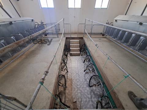 HERDADE COM SALA DE ORDENHA OVINOS ou CAPRINOS E ARMAZÉNS EM SELMES e T1