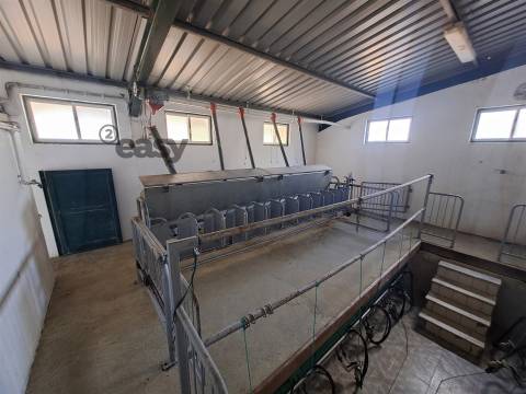 HERDADE COM SALA DE ORDENHA OVINOS ou CAPRINOS E ARMAZÉNS EM SELMES e T1