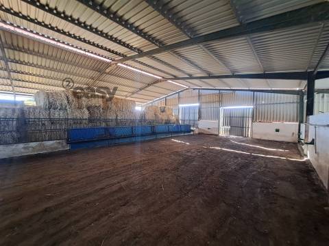 HERDADE COM SALA DE ORDENHA OVINOS ou CAPRINOS E ARMAZÉNS EM SELMES e T1