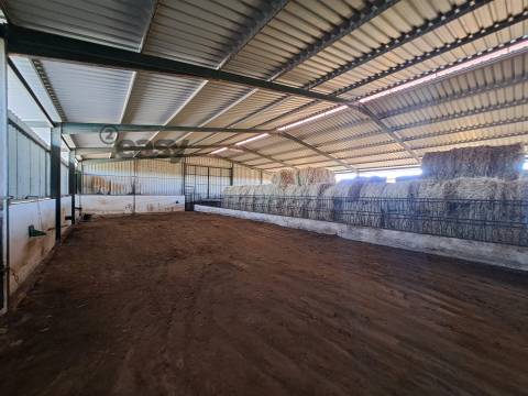 HERDADE COM SALA DE ORDENHA OVINOS ou CAPRINOS E ARMAZÉNS EM SELMES e T1