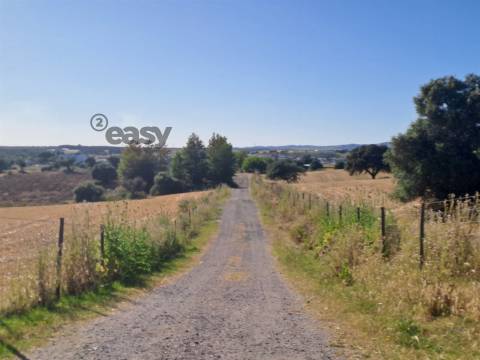 HERDADE COM SALA DE ORDENHA OVINOS ou CAPRINOS E ARMAZÉNS EM SELMES e T1