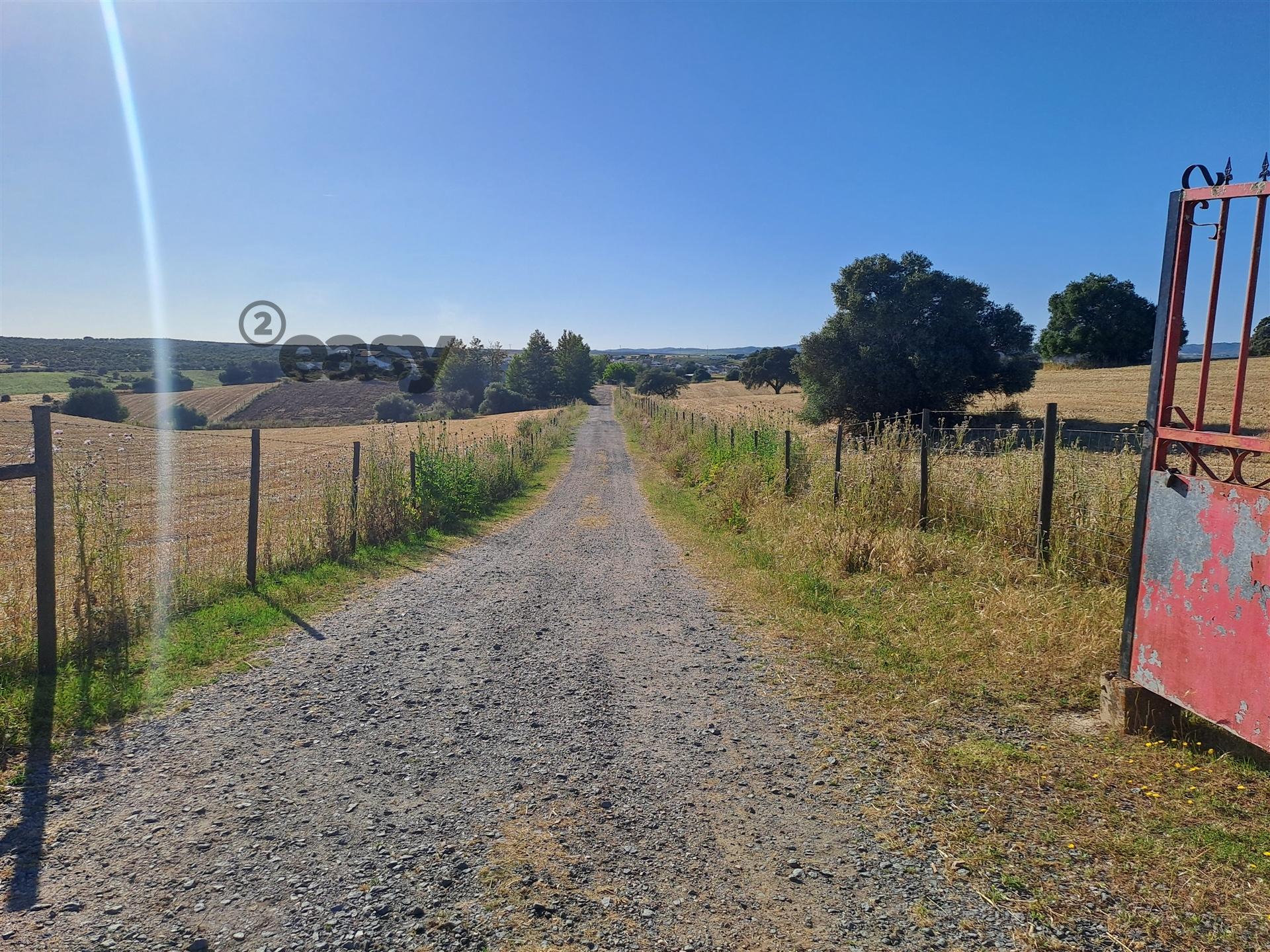 HERDADE COM SALA DE ORDENHA OVINOS ou CAPRINOS E ARMAZÉNS EM SELMES e T1