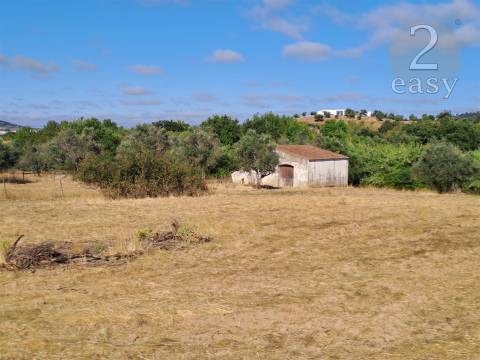 TERRENOS RÚSTICOS COM ARTIGOS URBANOS PARA RECONSTRUÇÃO NA VIDIGUEIRA