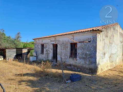 TERRENOS RÚSTICOS COM ARTIGOS URBANOS PARA RECONSTRUÇÃO NA VIDIGUEIRA