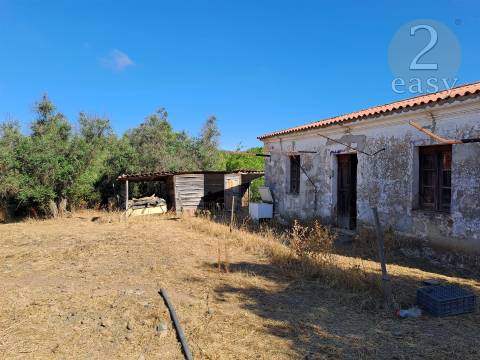 TERRENOS RÚSTICOS COM ARTIGOS URBANOS PARA RECONSTRUÇÃO NA VIDIGUEIRA