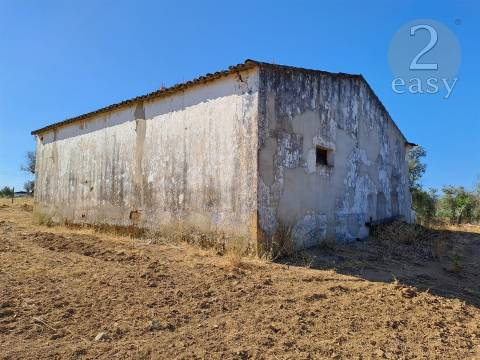 TERRENOS RÚSTICOS COM ARTIGOS URBANOS PARA RECONSTRUÇÃO NA VIDIGUEIRA