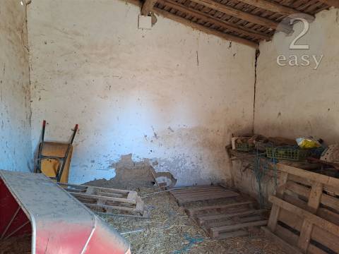 TERRENOS RÚSTICOS COM ARTIGOS URBANOS PARA RECONSTRUÇÃO NA VIDIGUEIRA