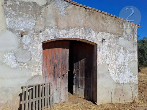 TERRENOS RÚSTICOS COM ARTIGOS URBANOS PARA RECONSTRUÇÃO NA VIDIGUEIRA