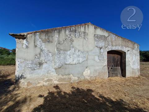 TERRENOS RÚSTICOS COM ARTIGOS URBANOS PARA RECONSTRUÇÃO NA VIDIGUEIRA