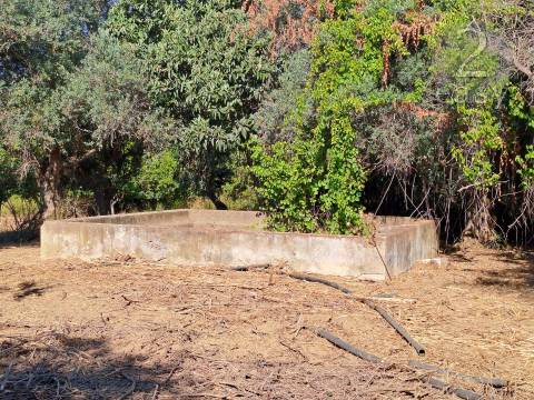 TERRENOS RÚSTICOS COM ARTIGOS URBANOS PARA RECONSTRUÇÃO NA VIDIGUEIRA