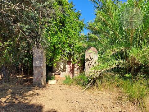 TERRENOS RÚSTICOS COM ARTIGOS URBANOS PARA RECONSTRUÇÃO NA VIDIGUEIRA