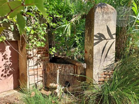 TERRENOS RÚSTICOS COM ARTIGOS URBANOS PARA RECONSTRUÇÃO NA VIDIGUEIRA