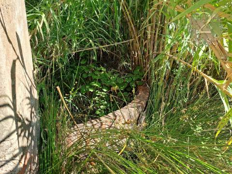 TERRENOS RÚSTICOS COM ARTIGOS URBANOS PARA RECONSTRUÇÃO NA VIDIGUEIRA