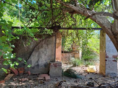 TERRENOS RÚSTICOS COM ARTIGOS URBANOS PARA RECONSTRUÇÃO NA VIDIGUEIRA