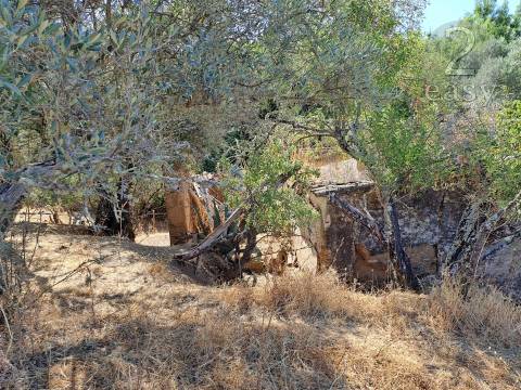 TERRENOS RÚSTICOS COM ARTIGOS URBANOS PARA RECONSTRUÇÃO NA VIDIGUEIRA