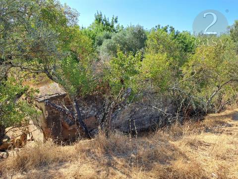TERRENOS RÚSTICOS COM ARTIGOS URBANOS PARA RECONSTRUÇÃO NA VIDIGUEIRA