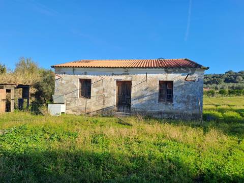 Moradias em ruínas para reconstrução inseridas em terreno misto com 6,62 hectares na Vidigueira