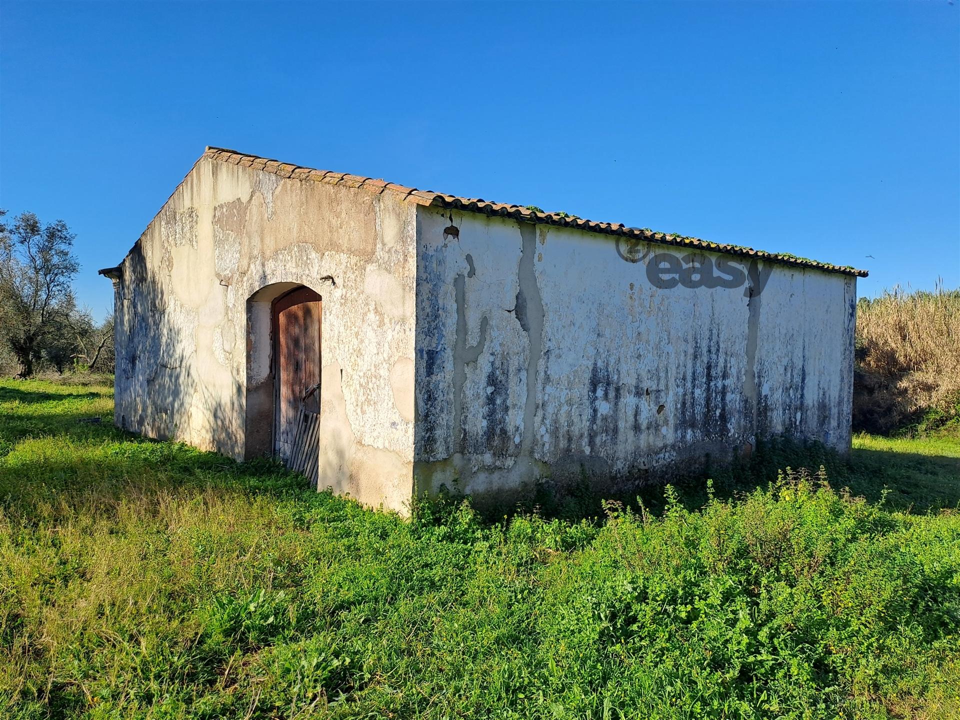 Moradias em ruínas para reconstrução inseridas em terreno misto com 6,62 hectares na Vidigueira