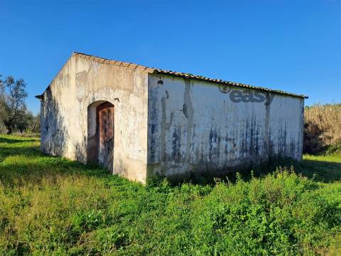 Moradias em ruínas para reconstrução inseridas em terreno misto com 6,62 hectares na Vidigueira