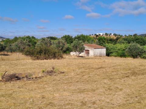 Moradias em ruínas para reconstrução inseridas em terreno misto com 6,62 hectares na Vidigueira