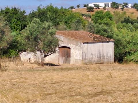 Moradias em ruínas para reconstrução inseridas em terreno misto com 6,62 hectares na Vidigueira