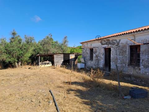 Moradias em ruínas para reconstrução inseridas em terreno misto com 6,62 hectares na Vidigueira
