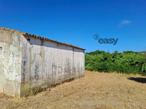 Moradias em ruínas para reconstrução inseridas em terreno misto com 6,62 hectares na Vidigueira