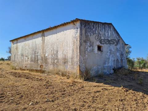 Moradias em ruínas para reconstrução inseridas em terreno misto com 6,62 hectares na Vidigueira